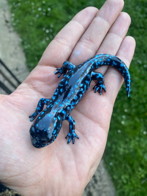 青い斑点のあるサンショウウオの置物 長さ10 cm - Etsy 日本