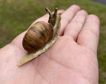 il_340x270.3213243345_79i5.jpg