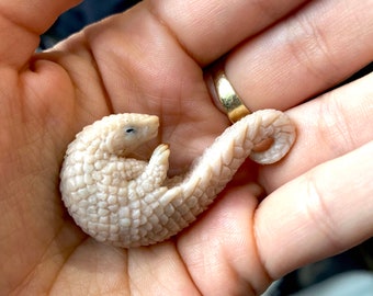 Hangende Pose Pangolin Beeldje ongeverfd 2,5x5cm