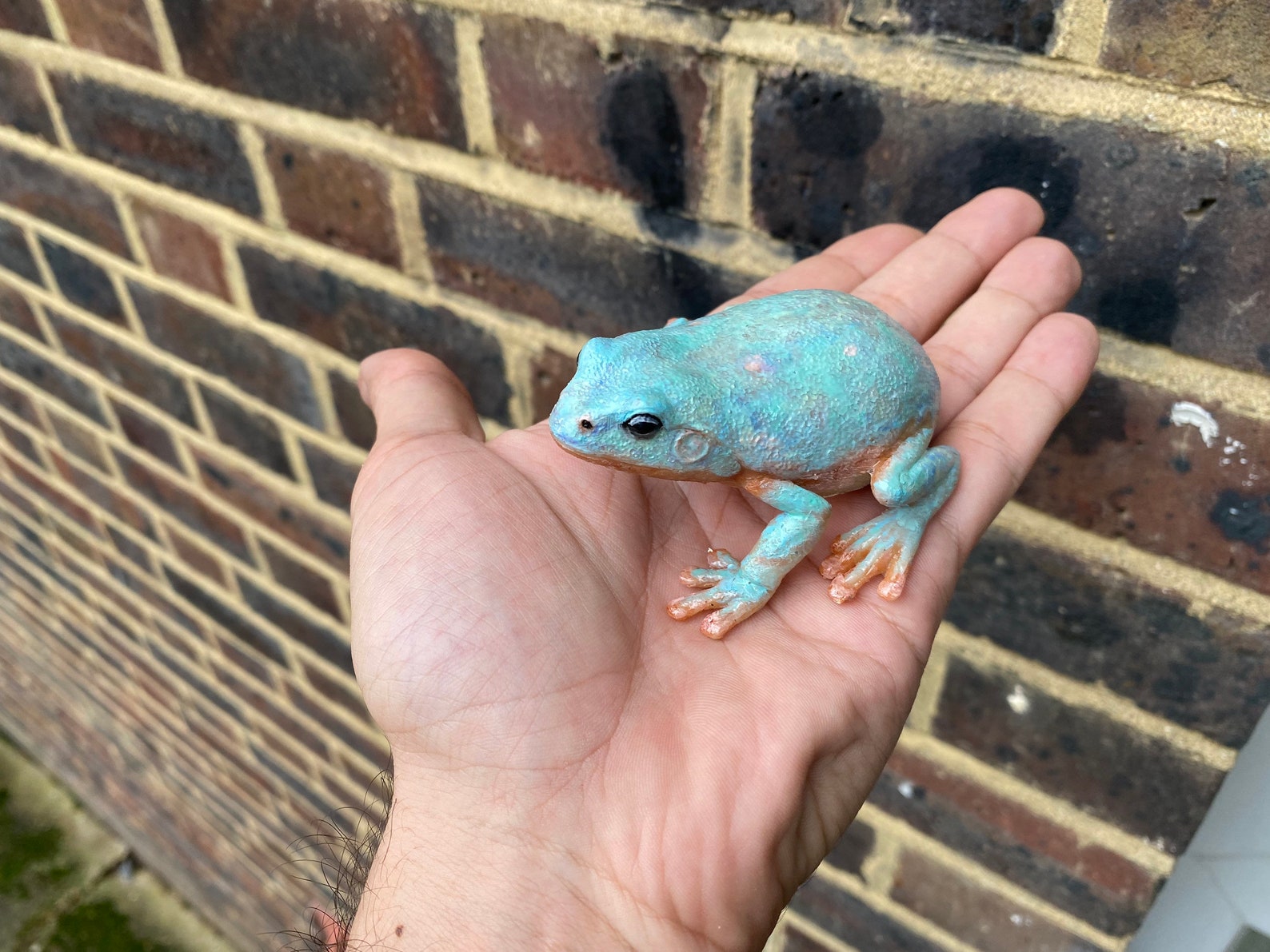 White Tree Frog Figurine Australian Green Tree Frog 8cm Lengt Etsy