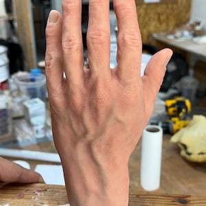 Realistic male hand - posable fingers / left hand