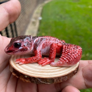 Baby Tiger Thick-Toed Gecko figurine 5 cm length