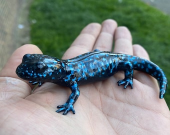 青い斑点のあるサンショウウオの置物、長さ10cm - Etsy 日本