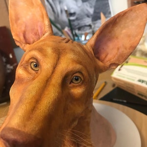 Realistic Pharaoh Hound Sculpture… - Etsy UK