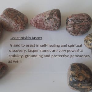 Leopardskin Jasper Tumbled stone