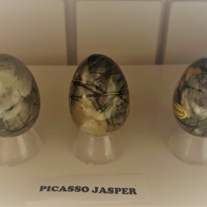 May include: Three smooth, egg-shaped stones with a gray and white marbled pattern. The stones are displayed on small white stands. The text "PICASSO JASPER" is printed below the stones.