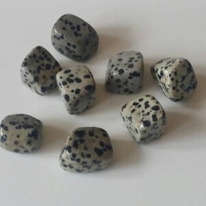 DALMATIAN STONE TUMBLED