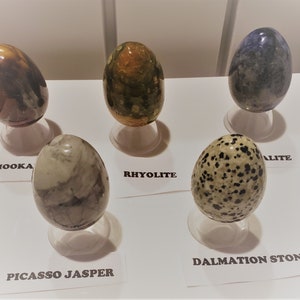 May include: Five polished egg-shaped stones on display stands. The stones are labeled "Mooka", "Rhyolite", "Picasso Jasper", "Dalmatian Stone", and "Alite".