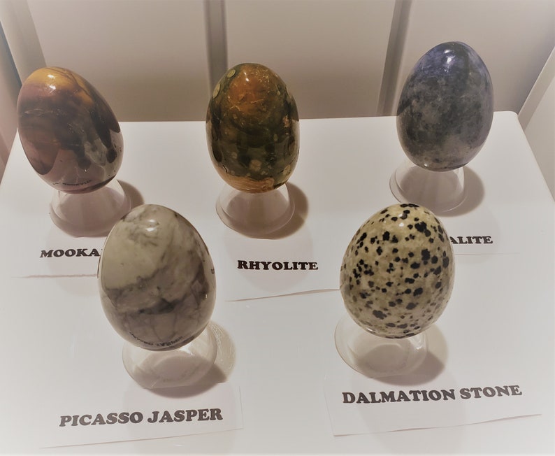 May include: Five polished egg-shaped stones on display stands. The stones are labeled "Mooka", "Rhyolite", "Picasso Jasper", "Dalmatian Stone", and "Alite".