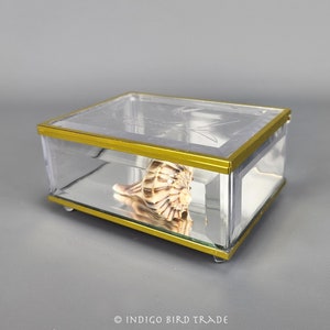 Vintage Acrylic Glass Footed Display Box | Mid Century Lucite Curio Cabinet Box Jewelry Box Antique Terrarium Medium Trinket Case Vanity