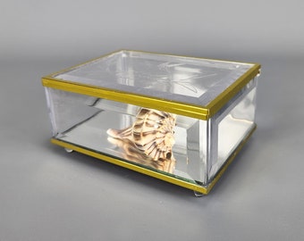 Vintage Acrylic Glass Footed Display Box | Mid Century Lucite Curio Cabinet Box Jewelry Box Antique Terrarium Medium Trinket Case Vanity