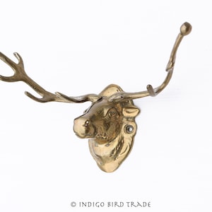 Testa di cervo vintage in ottone massiccio appeso a parete / Testa di cervo antico con corna Gancio decorativo a parete in metallo dorato / Busto di cervo Bronzo MCM
