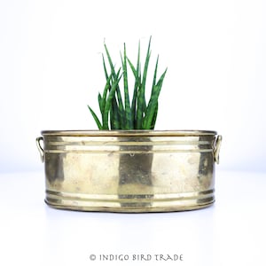 Vintage Brass Planter with Handles | Antique Gold Metal Indoor Plant Pot | Small Medium Oblong Plant Holder Mid Century Planter Cactus