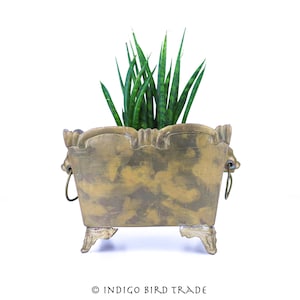 Vintage Solid Brass Planter with Lion Heads and Rings Handles | Antique Ornate Footed Plant Pot Indoor | Gold Metal Bronze Victorian Planter