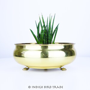 May include: A gold brass planter with four feet in the shape of paws. The planter is filled with a green succulent plant.