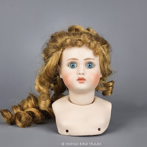 Vintage Bisque Doll Head with Glass Eyes and Wig Bru Jne Style Bust | Antique Style Porcelain Doll Head Hand Painted Figure Doll Parts Decor