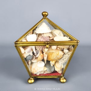 May include: A brass and glass box with a hinged lid filled with a variety of seashells. The box has a geometric shape with a pointed top and a square base. The box is sitting on a gray surface.