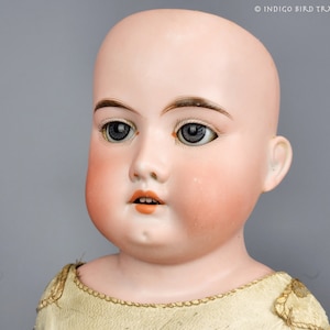 Antique German Armand Marseille Rosebud 21” Doll Bisque Head Kid Leather Body for Restoration or Parts | Vintage AM Doll Glass Eyes Large