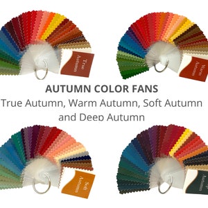 AUTUMN Seasonal Color Palettes (True, Soft, Warm or Deep)