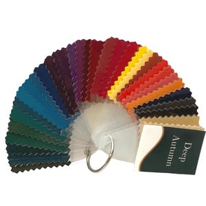 Deep (Dark) Autumn Seasonal Color Palette by Style Solutions for You
