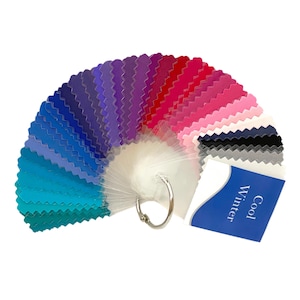 Cool Winter Seasonal Color Fan by Style Solutions for You