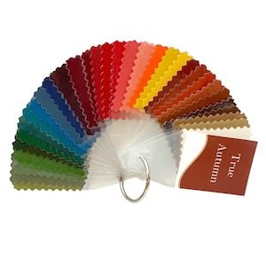 True (Classic) Autumn Seasonal Color Palette by Style Solutions for You