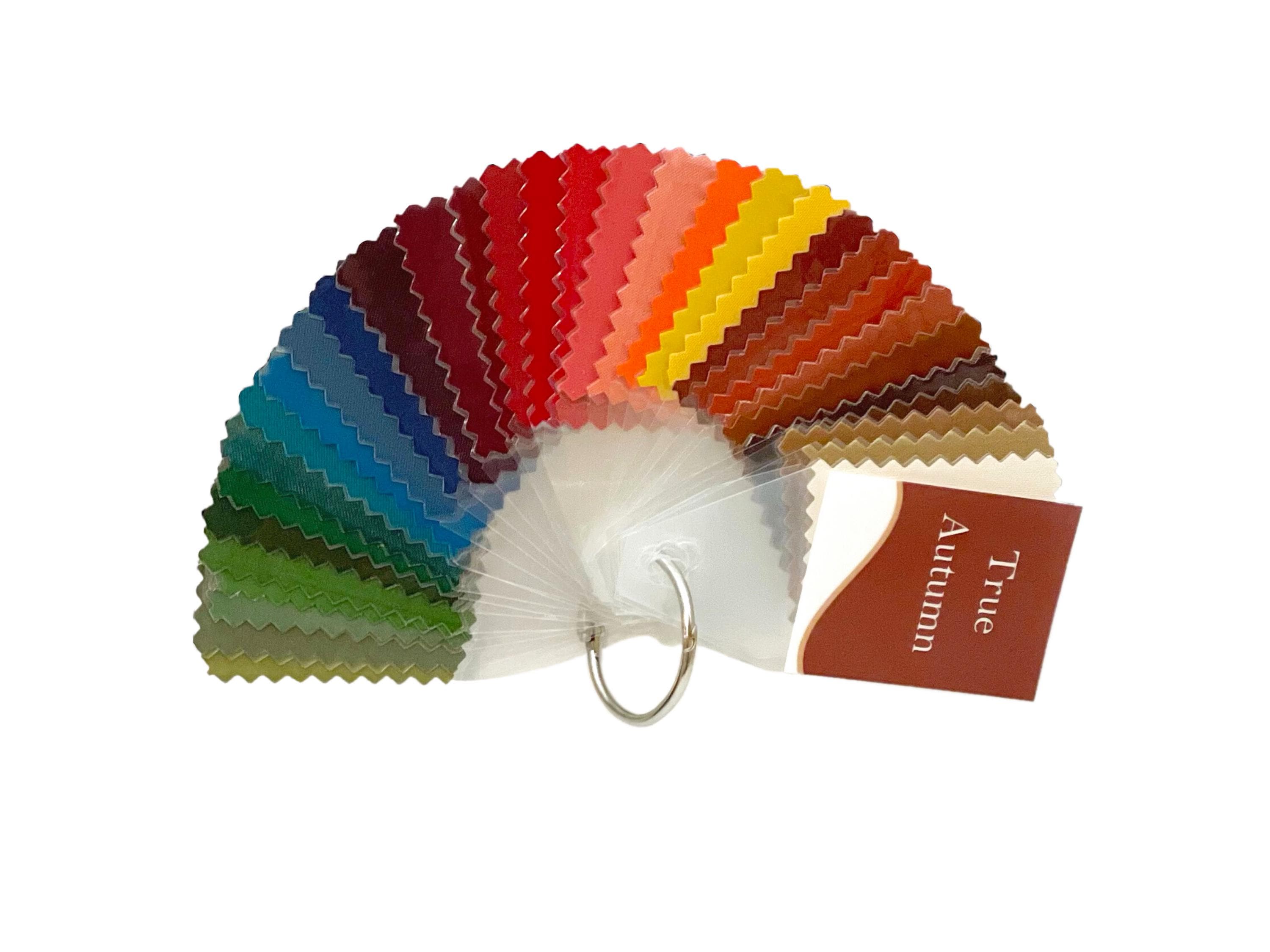 True (Classic) Autumn Seasonal Color Palette by Style Solutions for You