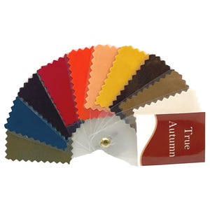 Nuancier de couleurs saisonnières automne 10 (vrai, chaud, profond, doux) par Style Solutions pour vous