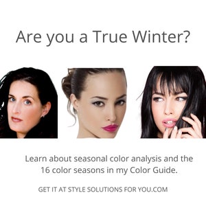 TRUE CLASSIC WINTER Seasonal Color Palette by Style Solutions for You ...