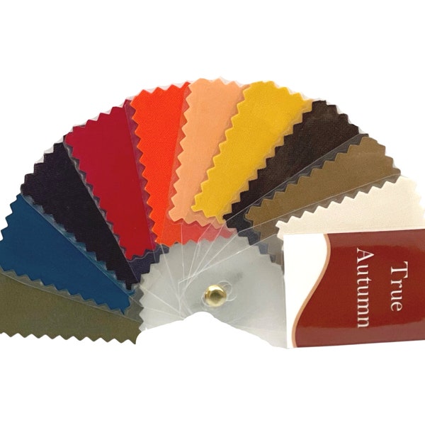 AUTUMN 10 Swatch Seasonal Color Fan (True, Warm, Deep, Soft) by Style Solutions for You