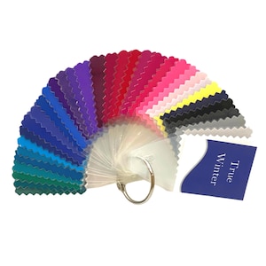 Winter Seasonal Color Palettes (True, Cool, Bright or Deep) by Style Solutions for You