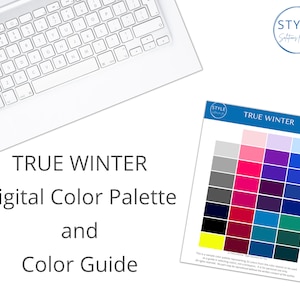 True (Classic) Winter Digital Color Palette & Guide by Style Solutions for You