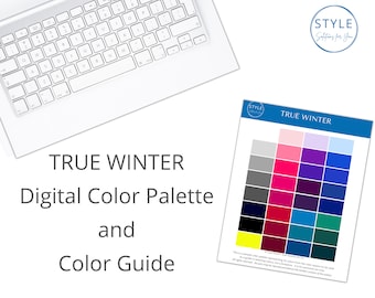 True (Classic) Winter Digital Color Palette & Guide by Style Solutions for You