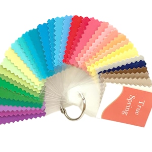 TRUE (CLASSIC) SPRING Seasonal Color Palette by Style Solutions for You