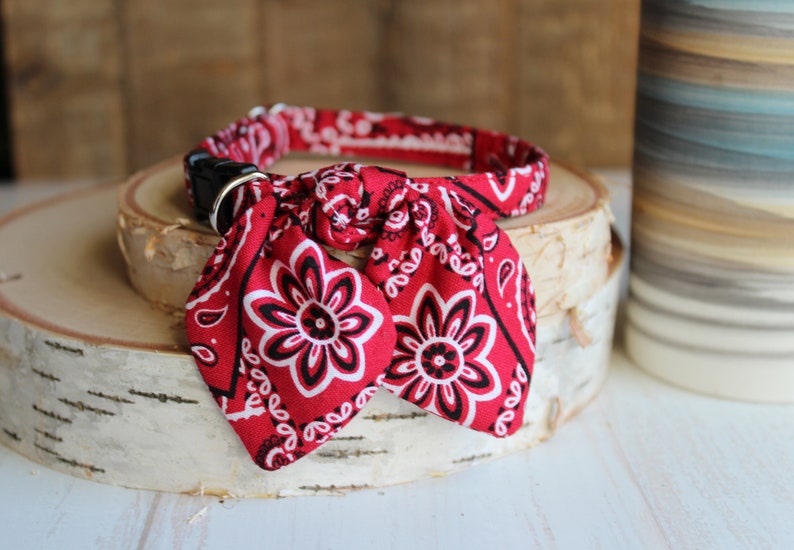 May include: Red bandana dog collar with a black buckle and a paisley pattern.