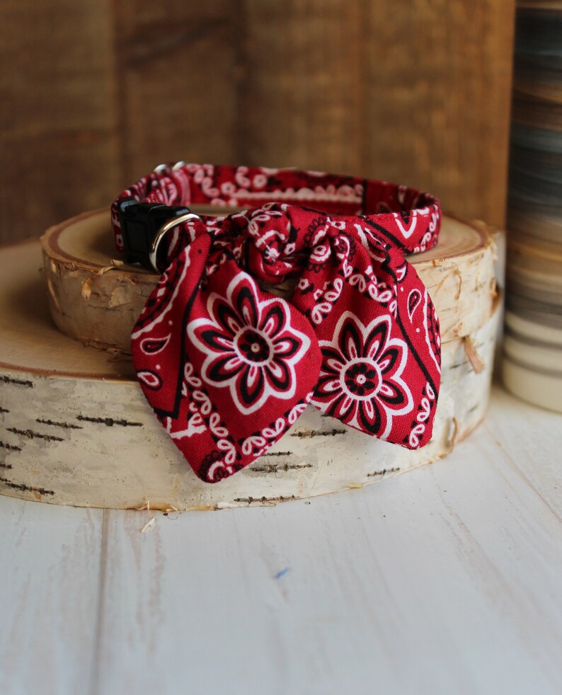 May include: Red bandana dog collar with a black buckle and a white paisley pattern. The collar is tied in a bow.