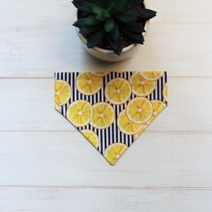 Dog Bandana, Blue Yellow Dog Scarf, Lemon Print Bandana, Over the Collar Bandana, Cat Bandana,Collar Bandana,Cat Scarf, Pet Scarf, Pet Gifts