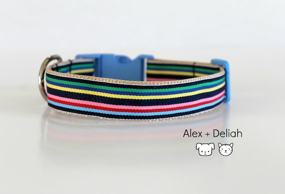 striped dog collar