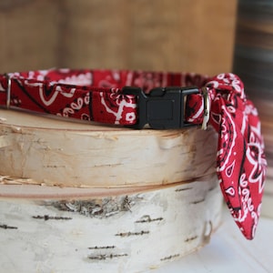 May include: Red bandana dog collar with a black plastic buckle and a silver ring. The collar is tied in a knot at the end.