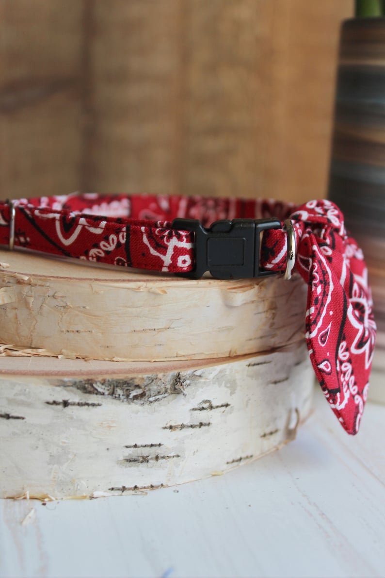 May include: Red bandana dog collar with a black plastic buckle and a silver ring. The collar is tied in a knot at the end.