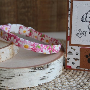 Pink Floral Dog Collar, 1/2" Dog Collar, Custom Dog Collar, Puppy Dog Collar, Tiny Dog Collar, Mini Collar, Non-Breakaway Collar, Pet Gifts