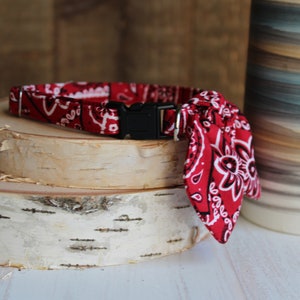 May include: Red bandana dog collar with a black plastic buckle. The bandana is tied in a knot at the front.