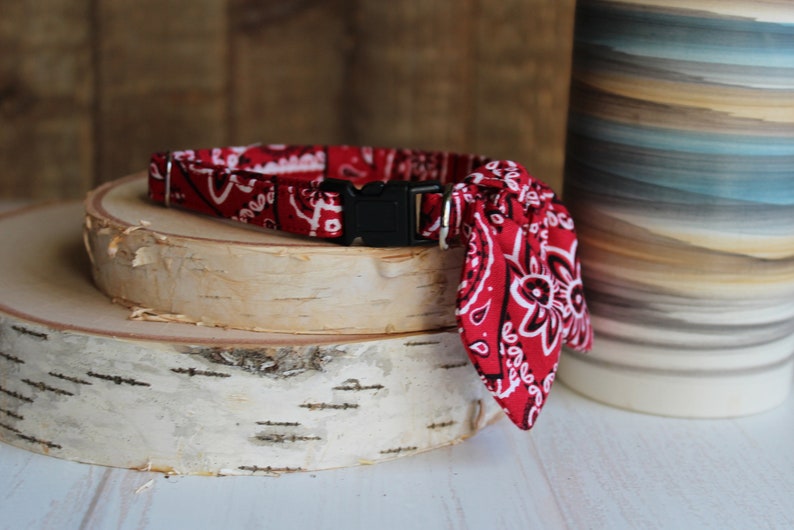 May include: Red bandana dog collar with a black plastic buckle. The bandana is tied in a knot at the front.