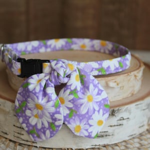 Cat Collar, Cat Collar with Bunny Ear Bowtie, Breakaway Cat Collar, Purple Cat Collar, Floral Cat Collar, Custom Pet Collar, Cat, Small Dog