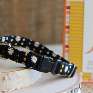 Black Dog Collar, 1/2&quot; Dog Collar, Custom Dog Collars, Daisy Dog Collar, Tiny Dog Collars, Small Collar, Non-Breakaway Collars, Pet Gifts