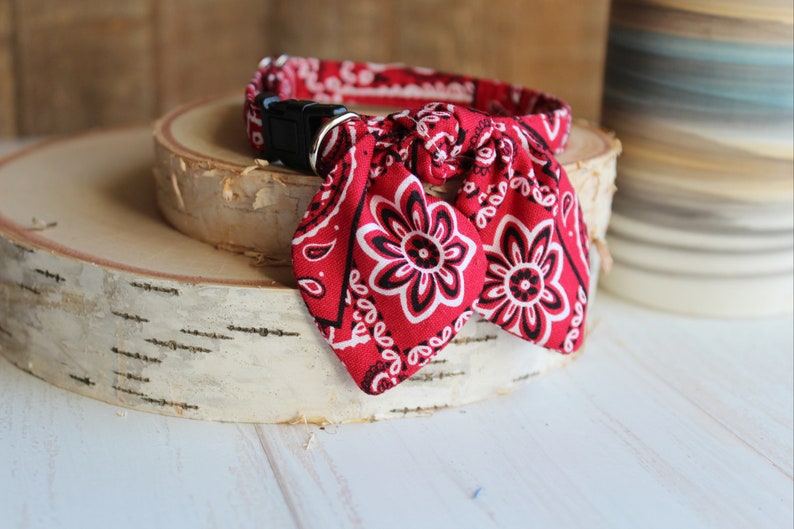 May include: Red bandana dog collar with a black buckle and a bow tie knot. The bandana has a white floral pattern.