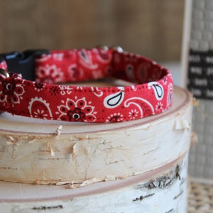 Red Paisley Dog Collar, 1/2" Dog Collar, Custom Dog Collar, Puppy Dog Collar, Tiny Dog Collar, Small Collar, Non-Breakaway Collar, Pet Gifts