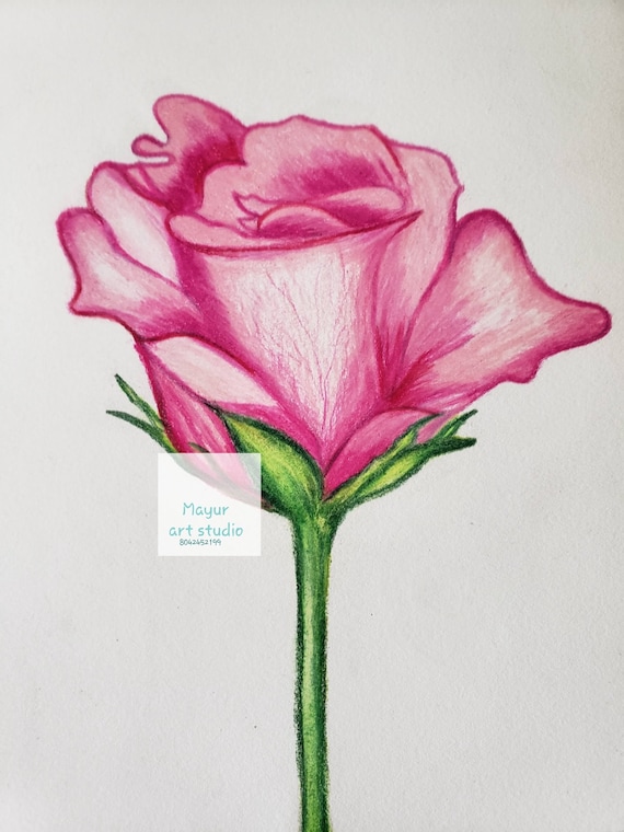 Beautiful Flowers Pencil Drawing Fine Art Drawing · Creative Fabrica