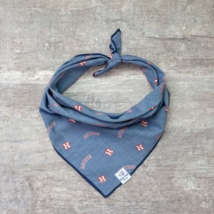 Houston Astros Dog Bandana