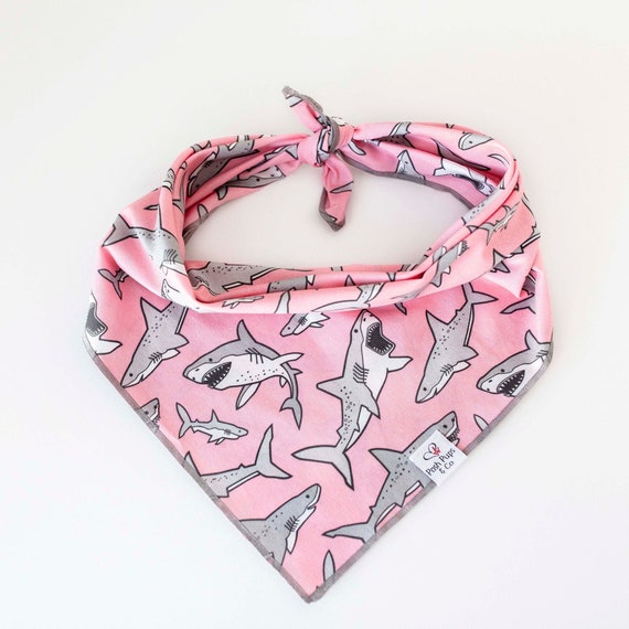 Clark Bandana on Pink, Shark Dog Bandana,